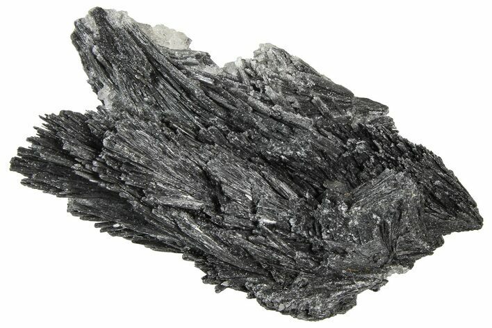 Intricate Black Kyanite Crystal Fan - Brazil #362701